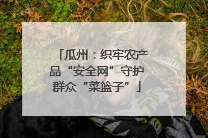瓜州：织牢农产品“安全网”守护群众“菜篮子”