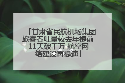 甘肃省民航机场集团旅客吞吐量较去年提前11天破千万 航空网络建设再提速