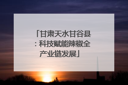 甘肃天水甘谷县：科技赋能辣椒全产业链发展