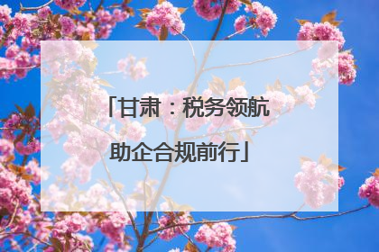 甘肃：税务领航 助企合规前行