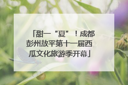 甜一“夏”！成都彭州敖平第十一届西瓜文化旅游季开幕