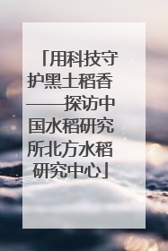 用科技守护黑土稻香——探访中国水稻研究所北方水稻研究中心