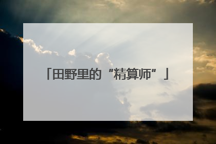 田野里的“精算师”