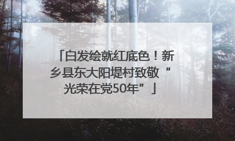 白发绘就红底色！新乡县东大阳堤村致敬“光荣在党50年”