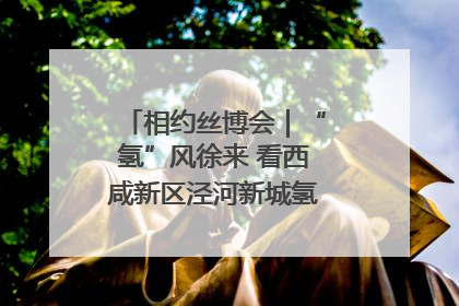 相约丝博会｜“氢”风徐来 看西咸新区泾河新城氢能产业聚链成势