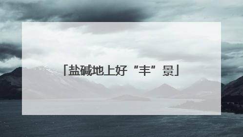 盐碱地上好“丰”景
