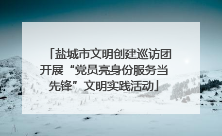 盐城市文明创建巡访团开展“党员亮身份服务当先锋”文明实践活动