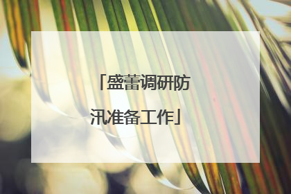 盛蕾调研防汛准备工作