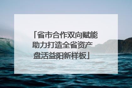 省市合作双向赋能 助力打造全省资产盘活益阳新样板