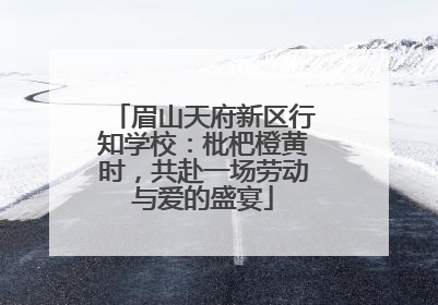 眉山天府新区行知学校：枇杷橙黄时，共赴一场劳动与爱的盛宴