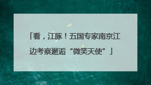 看，江豚！五国专家南京江边考察邂逅“微笑天使”