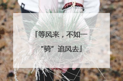 等风来，不如一“骑”追风去