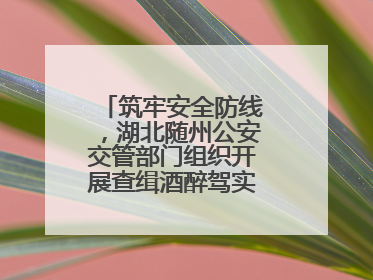 筑牢安全防线，湖北随州公安交管部门组织开展查缉酒醉驾实战演练活动