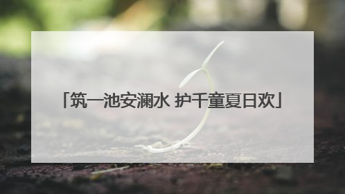 筑一池安澜水 护千童夏日欢