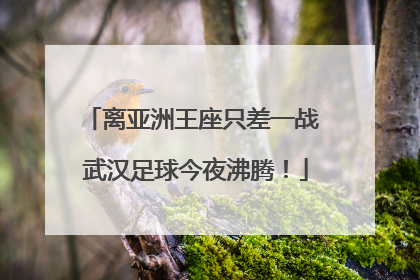 离亚洲王座只差一战 武汉足球今夜沸腾！