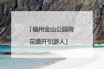 福州金山公园荷花盛开引游人