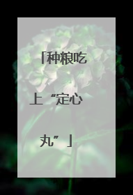 种粮吃上“定心丸”