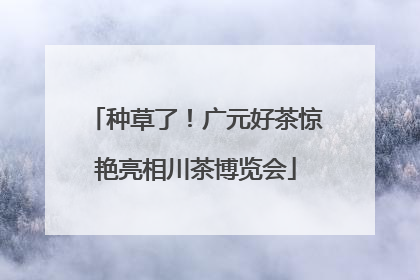 种草了！广元好茶惊艳亮相川茶博览会