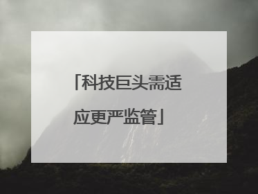 科技巨头需适应更严监管