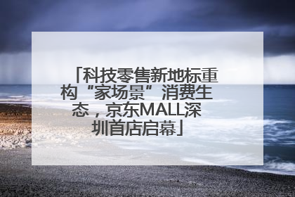 科技零售新地标重构“家场景”消费生态，京东MALL深圳首店启幕