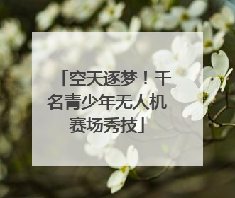 空天逐梦！千名青少年无人机赛场秀技