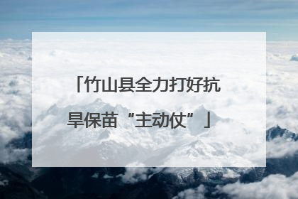 竹山县全力打好抗旱保苗“主动仗”