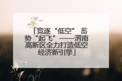 竞逐“低空” 蓄势“起飞”——渭南高新区全力打造低空经济新引擎