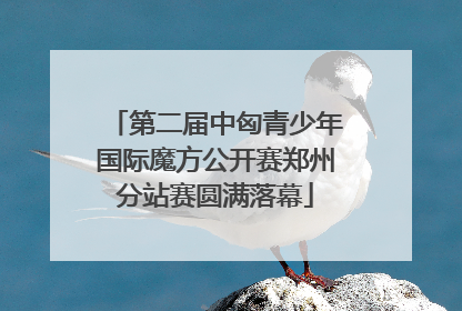 第二届中匈青少年国际魔方公开赛郑州分站赛圆满落幕