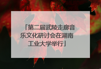 第二届武陵走廊音乐文化研讨会在湖南工业大学举行