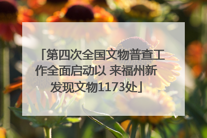 第四次全国文物普查工作全面启动以 来福州新发现文物1173处