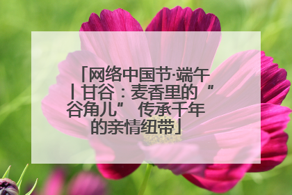 网络中国节·端午丨甘谷：麦香里的“谷角儿” 传承千年的亲情纽带
