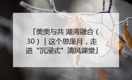 美美与共 湖湾融合（30）｜这个思廉月，走进“沉浸式”清风课堂