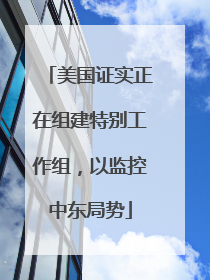 美国证实正在组建特别工作组，以监控中东局势