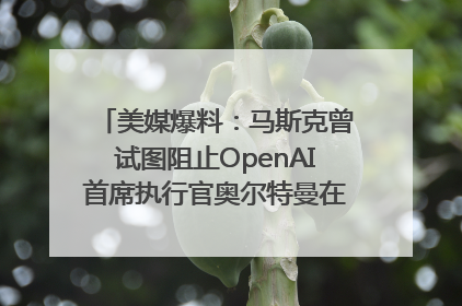 美媒爆料：马斯克曾试图阻止OpenAI首席执行官奥尔特曼在中东的AI交易