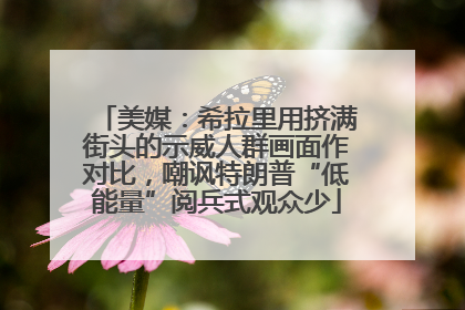 美媒：希拉里用挤满街头的示威人群画面作对比，嘲讽特朗普“低能量”阅兵式观众少