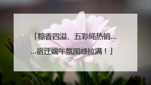 粽香四溢、五彩绳热销……宿迁端午氛围感拉满！