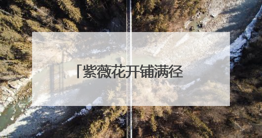 紫薇花开铺满径 诗画交融醉游人