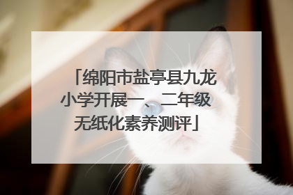 绵阳市盐亭县九龙小学开展一、二年级无纸化素养测评