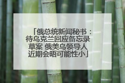 俄总统新闻秘书：待乌克兰回应备忘录草案 俄美乌领导人近期会晤可能性小