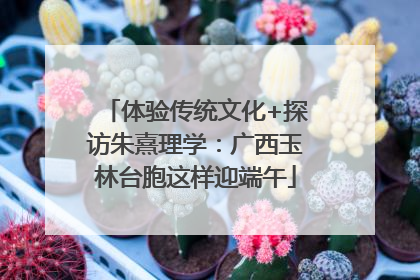 体验传统文化+探访朱熹理学：广西玉林台胞这样迎端午