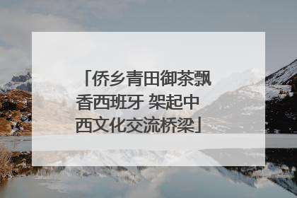 侨乡青田御茶飘香西班牙 架起中西文化交流桥梁