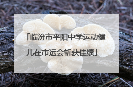 临汾市平阳中学运动健儿在市运会斩获佳绩