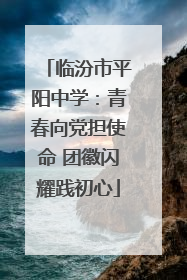 临汾市平阳中学：青春向党担使命 团徽闪耀践初心