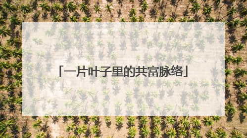 一片叶子里的共富脉络