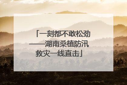 一刻都不敢松劲——湖南桑植防汛救灾一线直击