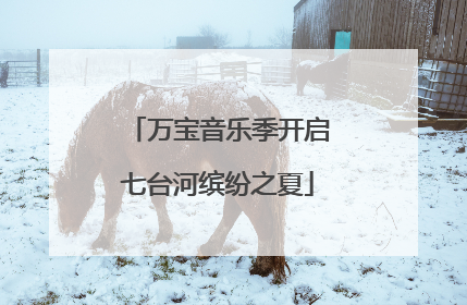 万宝音乐季开启七台河缤纷之夏