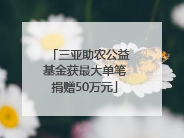 三亚助农公益基金获最大单笔捐赠50万元