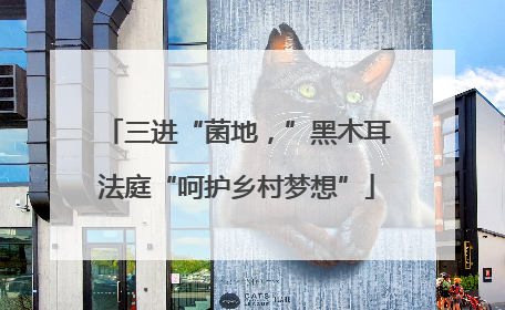 三进“菌地，”黑木耳法庭“呵护乡村梦想”