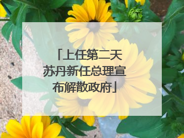 上任第二天 苏丹新任总理宣布解散政府