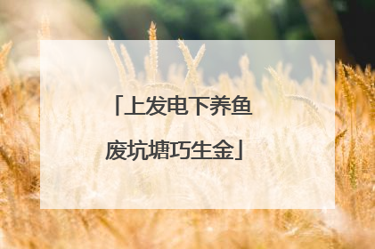 上发电下养鱼 废坑塘巧生金
